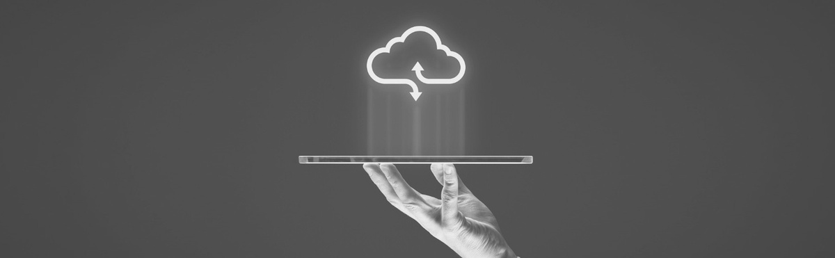 Sistemi e servizi Cloud: Infrastrutture digitali agili, per accogliere il futuro